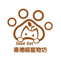 seed cat 喜德喵(@seedcat0123) 's Twitter Profile Photo