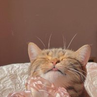 𝗔𝗠𝗔𝗭𝗢𝗡.𝟭𝗞𝗧 (@ssgemss) 's Twitter Profile