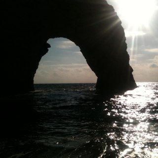 dkavdav's profile picture. 