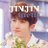 jinjinturtle
