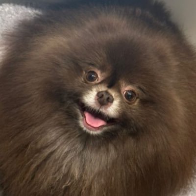 porjai907's profile picture. 