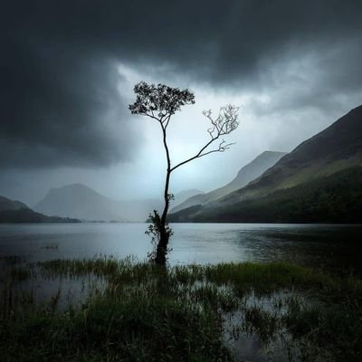 JimmyKirathi3's profile picture. Mathematics and Business Studies Teacher