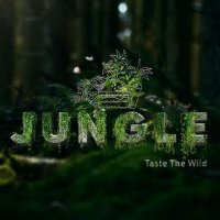 Jungle(@Jungle_tweeting) 's Twitter Profile Photo