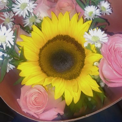 RandomGirl1005's profile picture. 🍥🍜
💜💜
🌌🌌