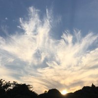 芝 燿二郎 (@siva_yzr_note) 's Twitter Profile