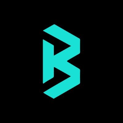 brc20best's profile picture. BRC20 service provider.'4' mean Brc20 tick name length is 4,'Best' mean Brc20 is best.