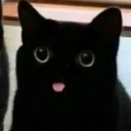 mimm7319's profile picture. 안 되면 되는거 하자