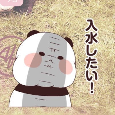 kyoupuro_Eigyo's profile picture. 3000ACまでにAtCoder水色を本気で目指してます。 解説ACはしてません。
