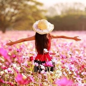 hanysaffy's profile picture. I love flowers and everything about them.