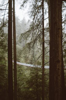 MJArmstrong_7's profile picture. Rocket Builder, Pizza Expert, Fan of the Giants, inspiration