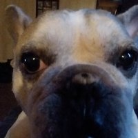 James Generose (@generoseja56892) 's Twitter Profile