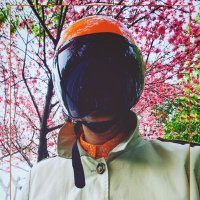 Blokeacola (@blokeacolazero) 's Twitter Profile