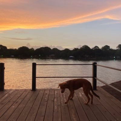 GallupEric's profile picture. Custom Applicator for Harrells, LLC licensed in Texas and Louisiana