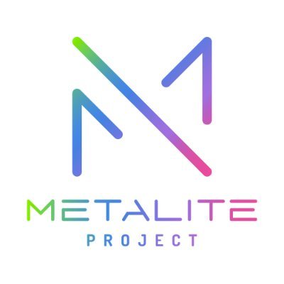 METALITE PROJECT公式さんのプロフィール画像