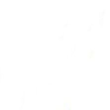 Juanvargast's profile picture. 