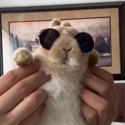 skkshsh's profile picture. dear diary,