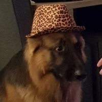 Miesneus (@jaywms6) 's Twitter Profile