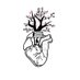 Kiribati Ca n'Oriac (@kiribatinoriac) Twitter profile photo Kiribati Ca n'Oriac (@kiribatinoriac) Twitter profile photo