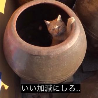 ジミンココより 長身ズ 05ズ