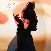 sweet (@sweett2023) 's Twitter Profile