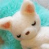 HAKUBA_Dicentra's profile picture. 花・星・月・動物大好きです。共感できるものにコソッといいねする失礼お許しください🙏追伸エロ❌勧誘❌ビジネス系❌宗教❌DM❌引用RT🈲
Twitter初心者🔰FB慎重派🌼⚠️RT多
⚠️いいね❤が消える不具合中
📸写真は自分で撮ったものです🌿