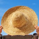 victorinonhari's profile picture. 