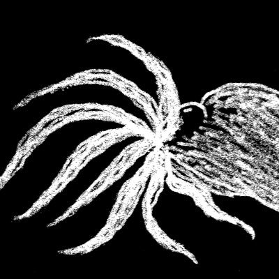 shinichiro6633's profile picture. 