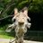 edge_iPhone