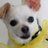 martinico123's profile image