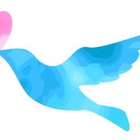 やく (@yakub1154) 's Twitter Profile