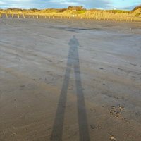 Stuart Hurst (@stu_j_hurst) 's Twitter Profile
