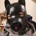 黯恪 (@encorerecht) Twitter profile photo 黯恪 (@encorerecht) Twitter profile photo