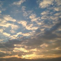 ๐๐๐ (@nqnqsh1774) 's Twitter Profile