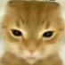 memes de gatos duvidosos 🐈🐈⬛ (@memedudezz) Twitter profile photo memes de gatos duvidosos 🐈🐈⬛ (@memedudezz) Twitter profile photo