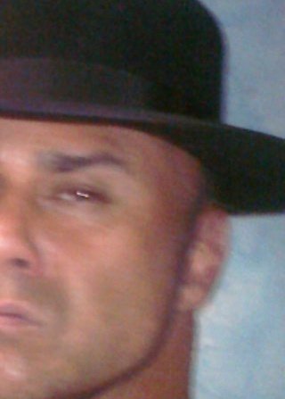 Interior Designer, Urban Archaeologist, Fashion Historian, Animal Lover