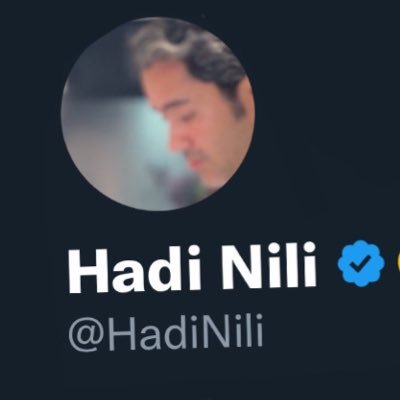 Hadi Nili