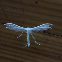 Serkan Kadioglu (@serkan4524013) Twitter profile photo