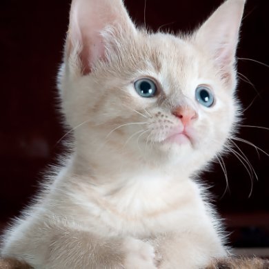 absentfrmwork's profile picture. I am new to this