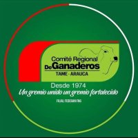 Comité Ganaderos Tame (@comitegtame) 's Twitter Profile