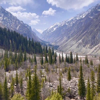 sabad5's profile picture. 