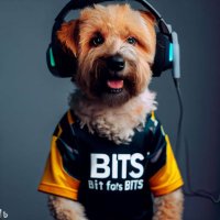 Dirk T. (@holznerdwerker) 's Twitter Profile