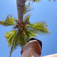 David Guerrero (@davidgu38541872) 's Twitter Profile