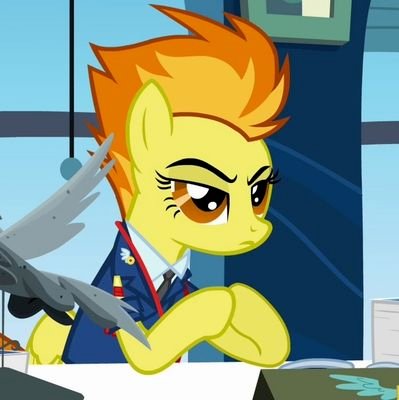 COMMANDER OF THE WONDERBOLTS. ✨
