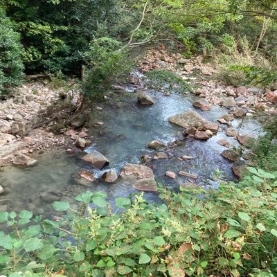 h6Ow6sM2XuzP5fi's profile picture. 商業デビュー2年目の新人作家。現在３作品（合計8冊）を出版させていただいております（ファミ通文庫様、アルファポリス様など）。出版作品のタイトル及び、プロフィールや実績。また、各投稿サイトでの作品のチャックは下のプロフカードのURLから！ お仕事依頼DMにてお待ちしています！