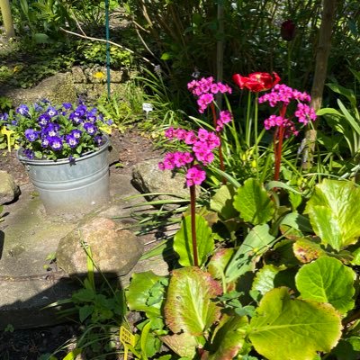 Stefie49745434's profile picture. 8x geimpft 💉💪#CovidIsAirborne #MaskUp 😷