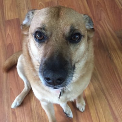 JaguschKao63367's profile picture. 