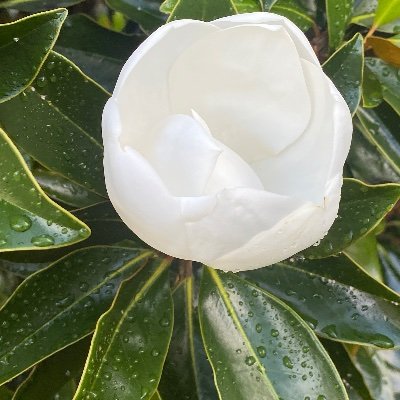 maricla12676882's profile picture. My name is Mariam .. I am a little bit of this and a little bit of that ;)  multi dimensional in thought .. grounded in universal laws and God