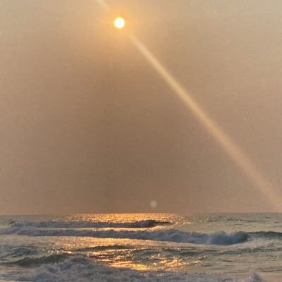 kanekiboo07's profile picture. RPh