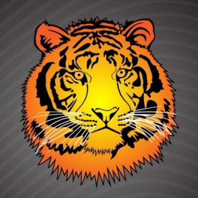 cripto_lip_ok's profile picture. 🔥Crypto lover and DeFi investor. Trading my way to financial freedom, one smart investment at a time.📈🦬🐻💵💶💷