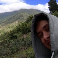 Qwilex (@qwilex_lol) 's Twitter Profile